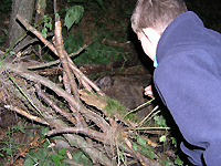 Eindrücke vom Kindercamp 2007